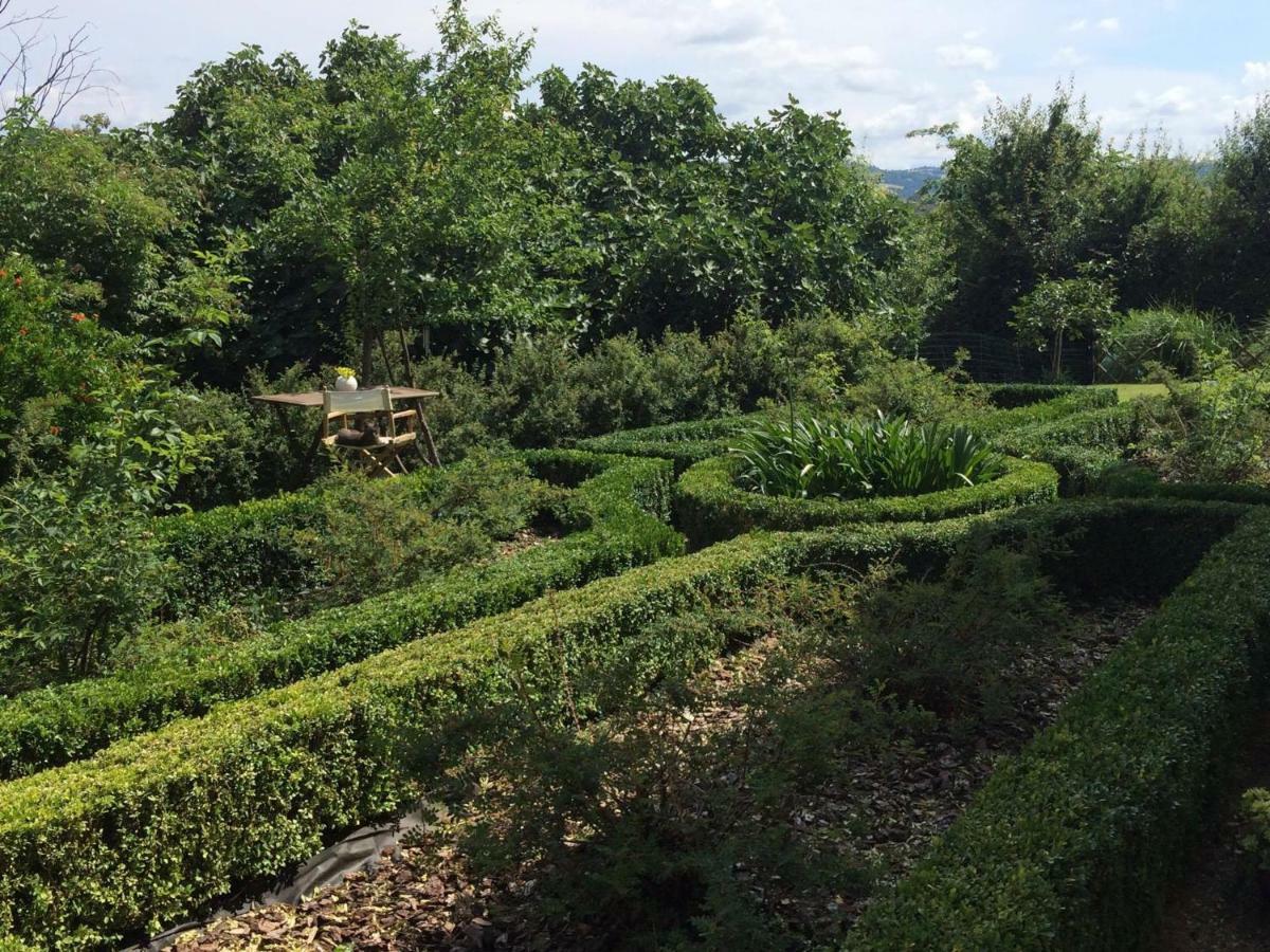 Il Giardino B&B Castelvetro di Modena Bagian luar foto