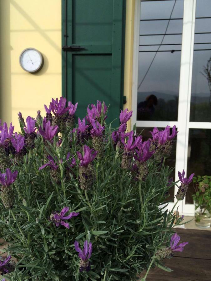 Il Giardino B&B Castelvetro di Modena Bagian luar foto