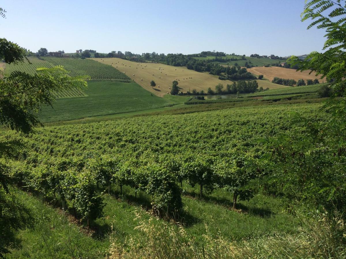 Il Giardino B&B Castelvetro di Modena Bagian luar foto