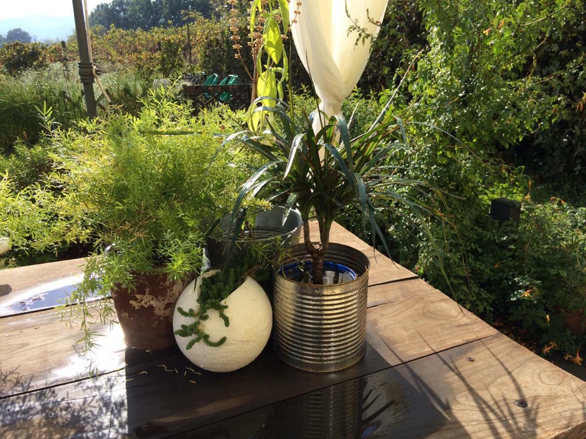 Il Giardino B&B Castelvetro di Modena Bagian luar foto