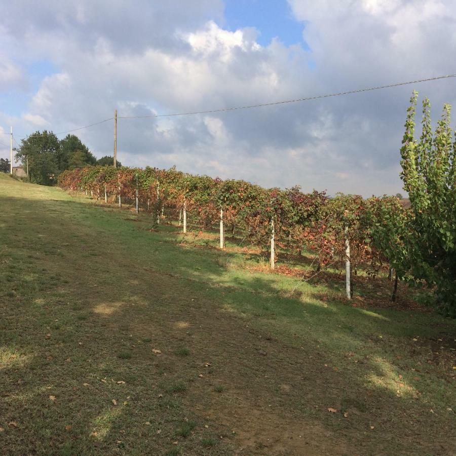Il Giardino B&B Castelvetro di Modena Bagian luar foto