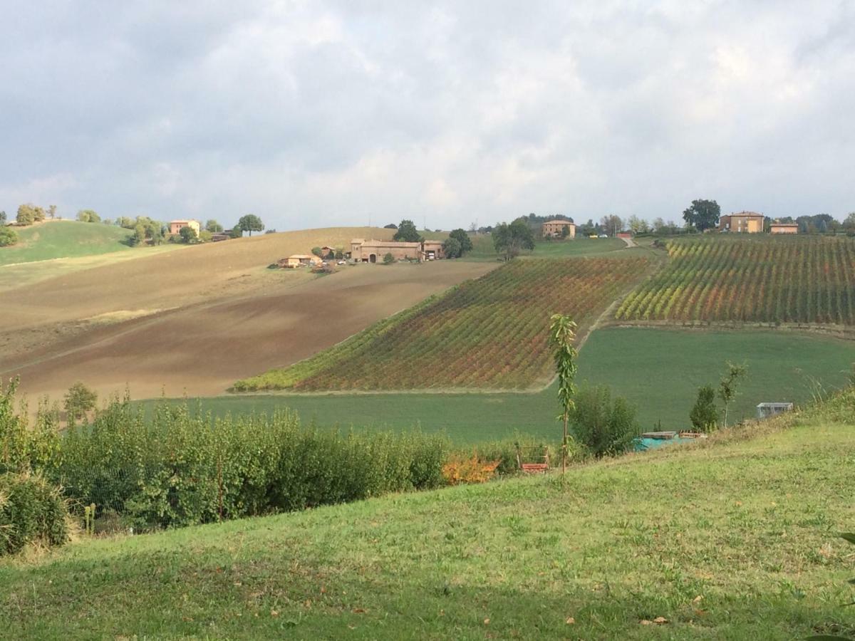 Il Giardino B&B Castelvetro di Modena Bagian luar foto