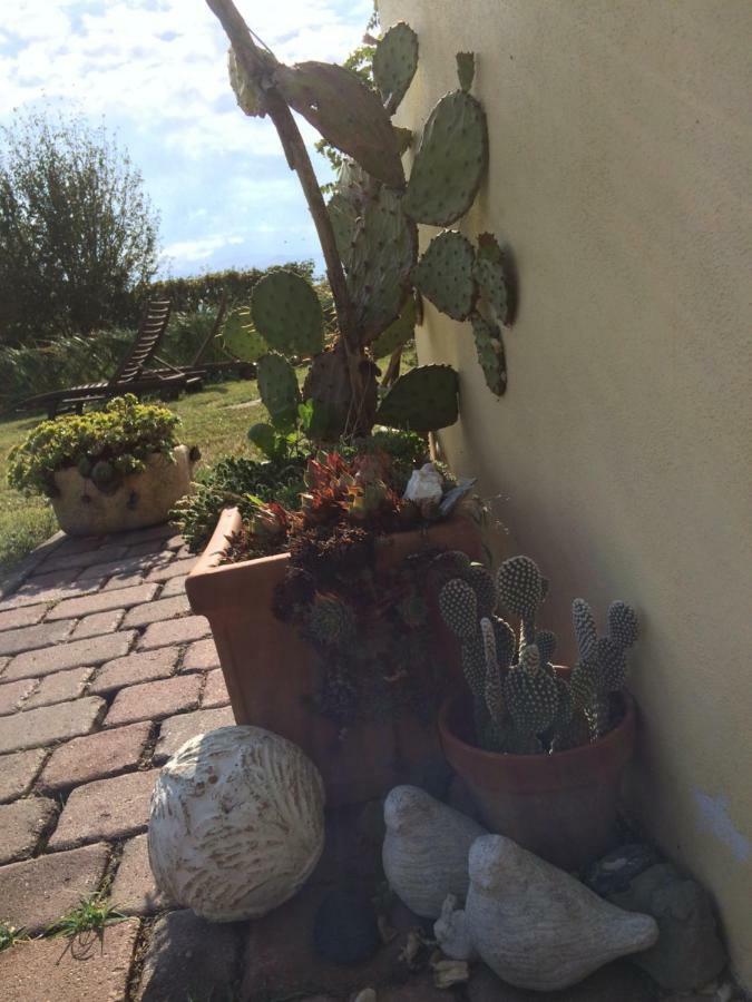 Il Giardino B&B Castelvetro di Modena Bagian luar foto